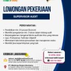 SUPERVISOR AUDIT