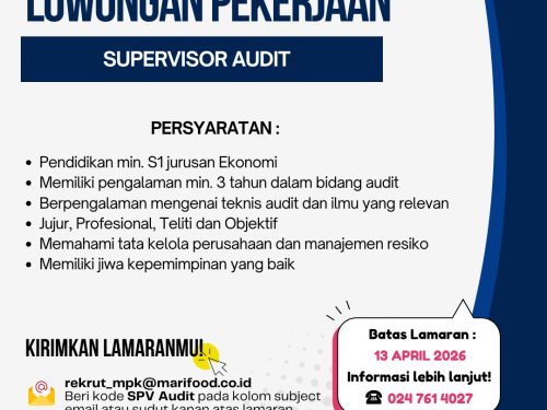 SUPERVISOR AUDIT