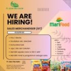 SALES MERCHANDISER (GT)