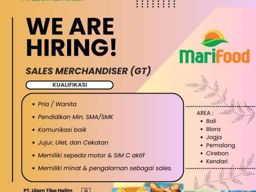 SALES MERCHANDISER (GT)