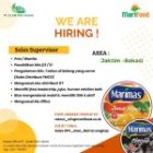 SALES SUPERVISOR ( Jaktim dan Bekasi )